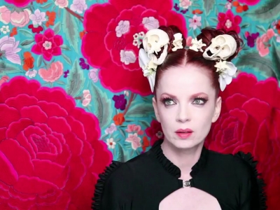 Shirley Manson reclamou de show na Alemanha e fãs revidaram