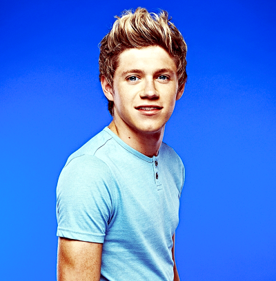 Niall Horan sofreu com dor e xingou muito no Twitter (Divulgação)