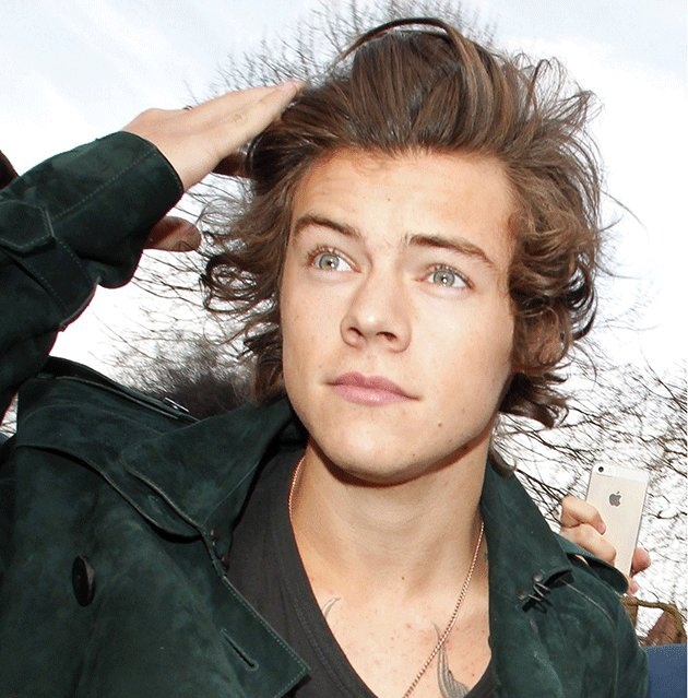 Mídia e fãs cogitam homo ou bissexualidade de Styles (Reprodução/Instagram)