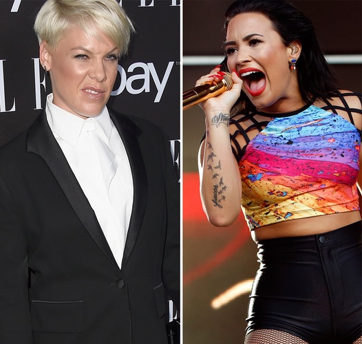 Pink chamou a atenção de Demi Lovato com comentário (Getty Images)
