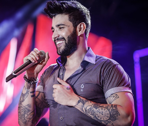 Sertanejo revelou que precisou dar uma pausa na carreira (Divulgação)
