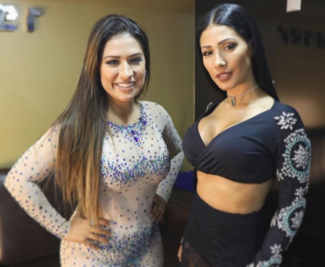 Dupla teve que sair do palco sem se despedir do público (Reprodução/Instagram)