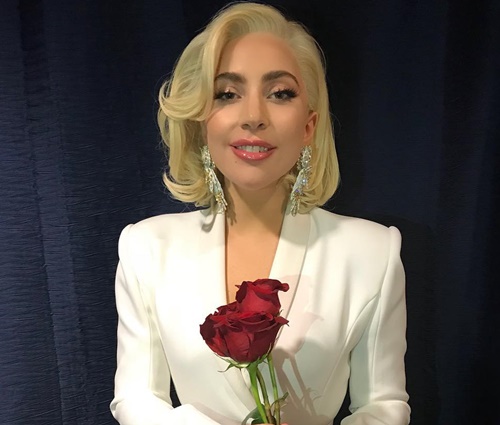 Gaga chamou paramédicos para que atendessem a fã (Reprodução/Instagram)