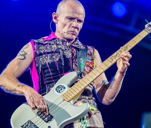 Flea teve problemas com remédios após largar outras drogas (Wikimedia)