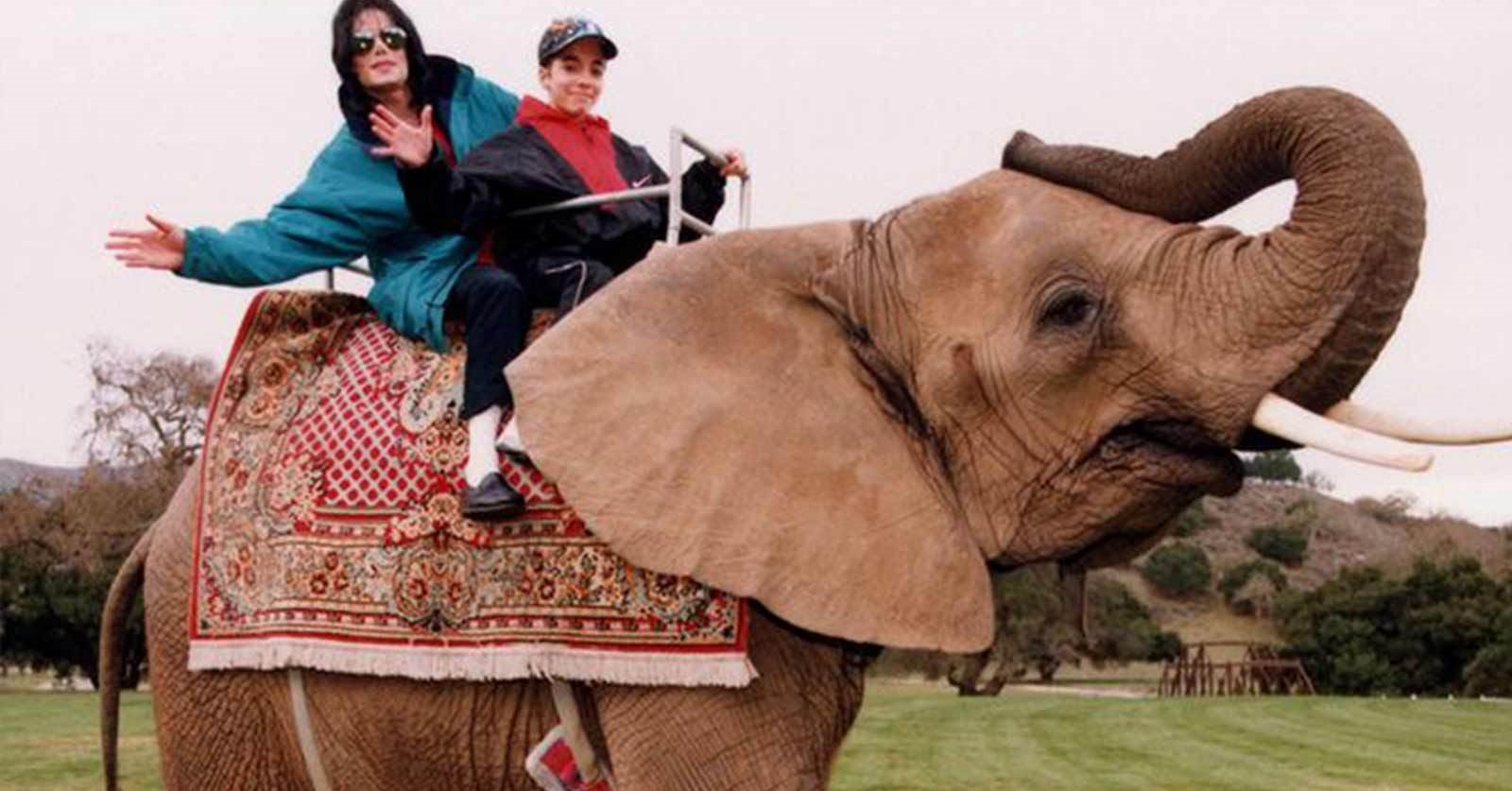 5 Cutest Animals That Are Actually Deadly