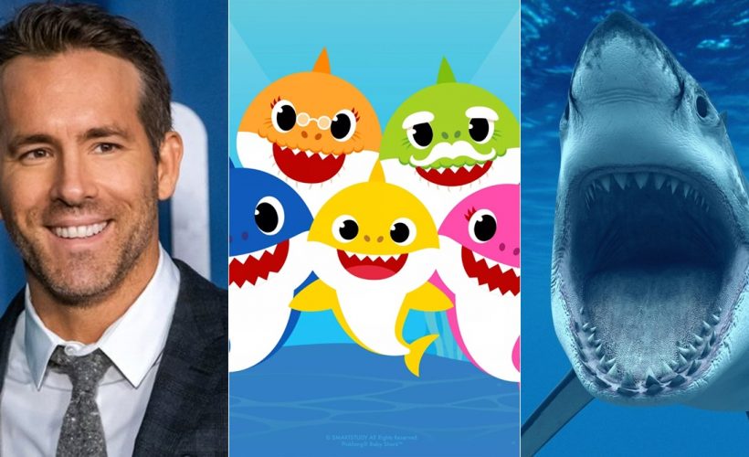 ryan reynolds baby shark