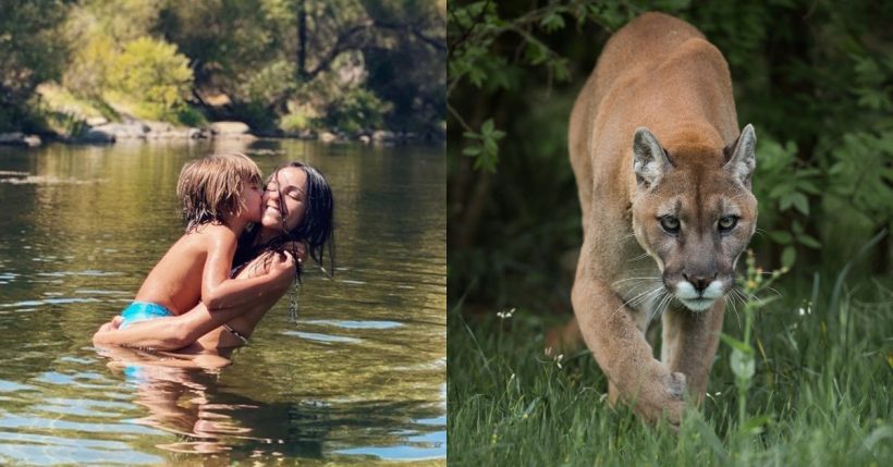 puma