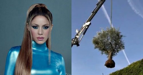 Shakira - árvore