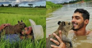 Agenor Tupinambá - Capivara Filó