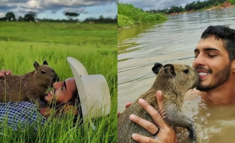 Agenor Tupinambá - Capivara Filó