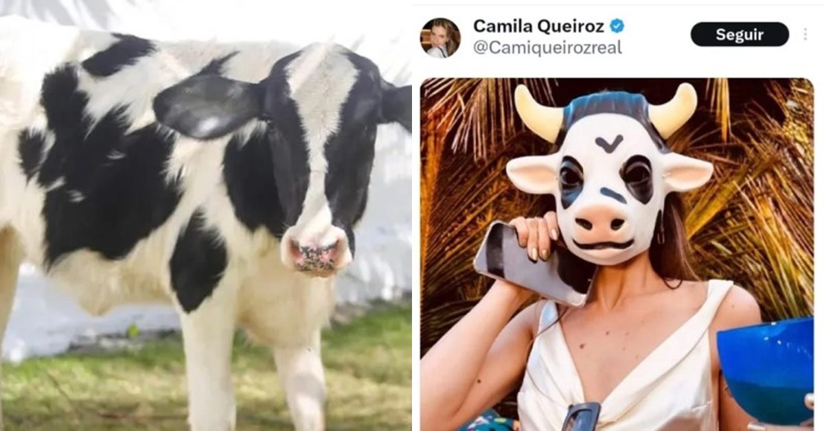 Vaca - Camila Queiroz