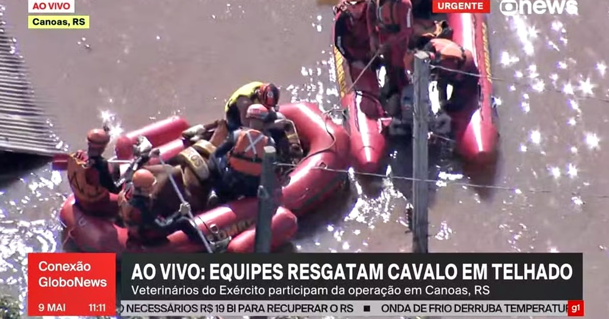 Resgate - Cavalo - RS