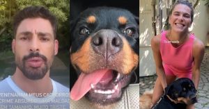 Cauã Reymond tem cães envenenados e um deles morre: ‘a outra está muito mal’
