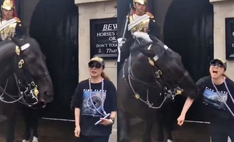 Turista - mordida cavalo realeza britânica