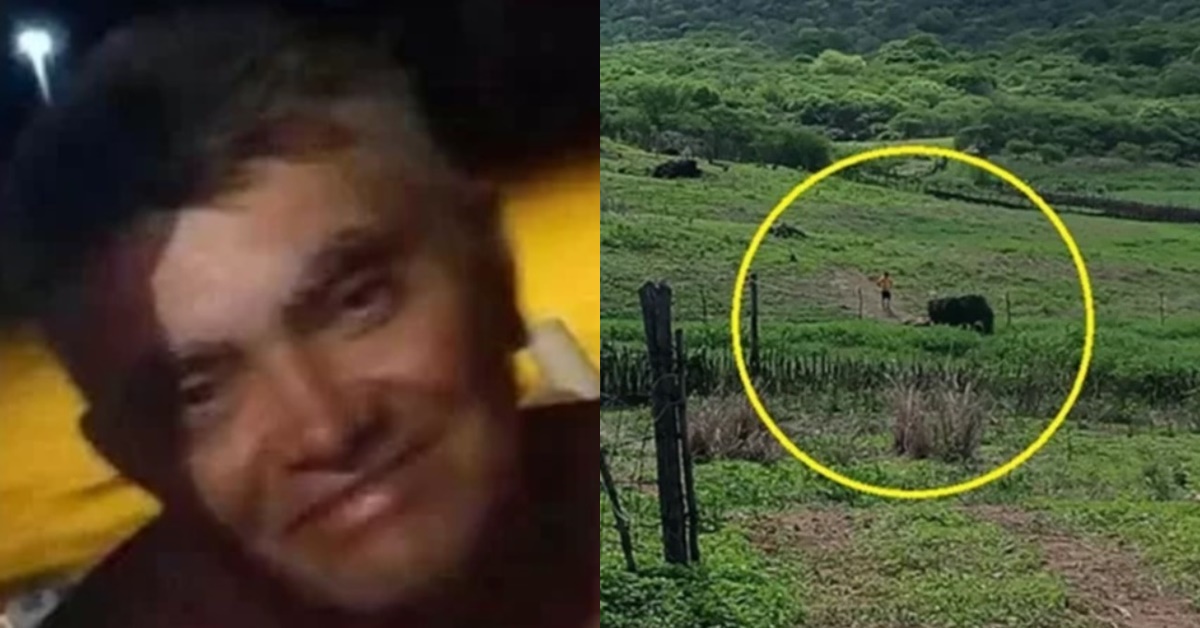 Homem morre - animal - cerca clandestina