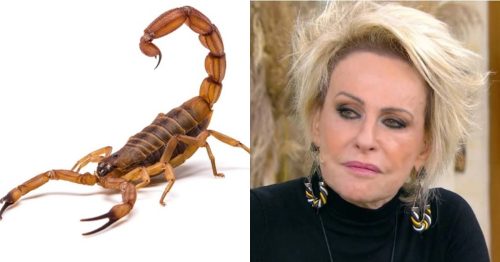 Ana Maria Braga - Escorpião