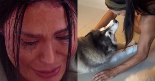 Gracyanne - pesadelo - cachorros