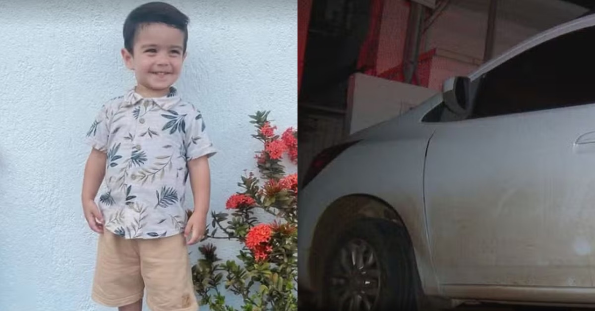 menino 2 anos - esquecido no carro creche
