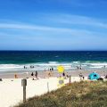 Woorim Beach - Austrália tubarao