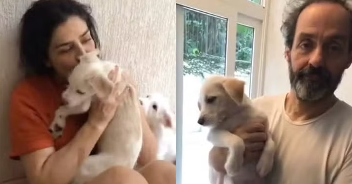 Letícia Sabatella - cachorros