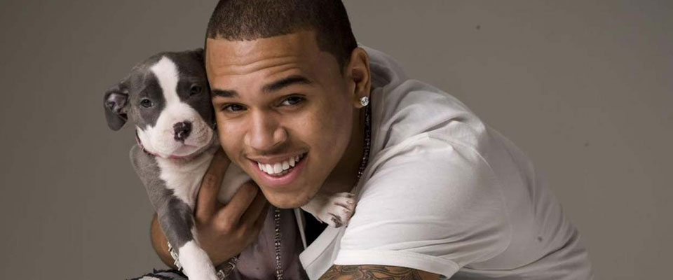 Песня kiss kiss chris brown